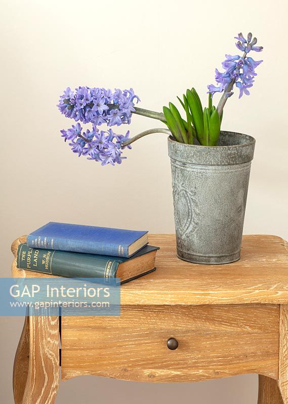 Jacinthes bleues en pot métallique et livres sur table de chevet