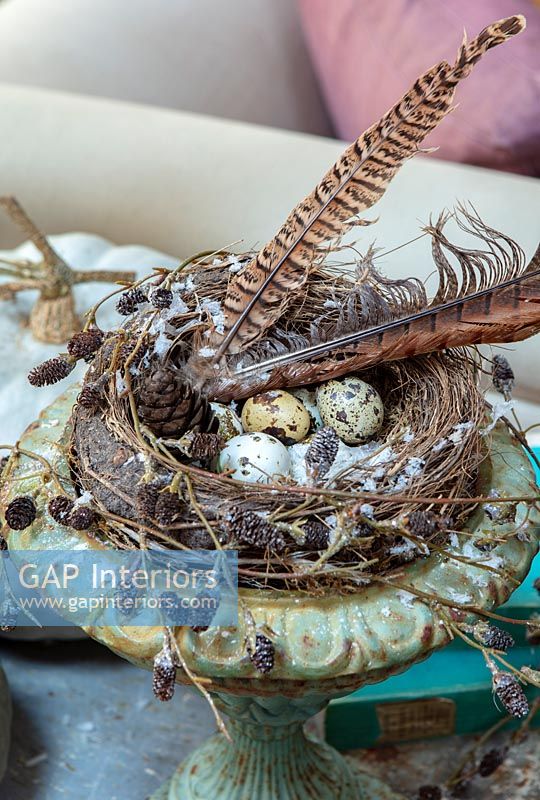 Décorations champêtres sur table - nid d'oiseaux, œufs et plumes