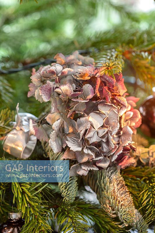 Fleurs d'hortensia séchées comme décoration d'arbre de Noël