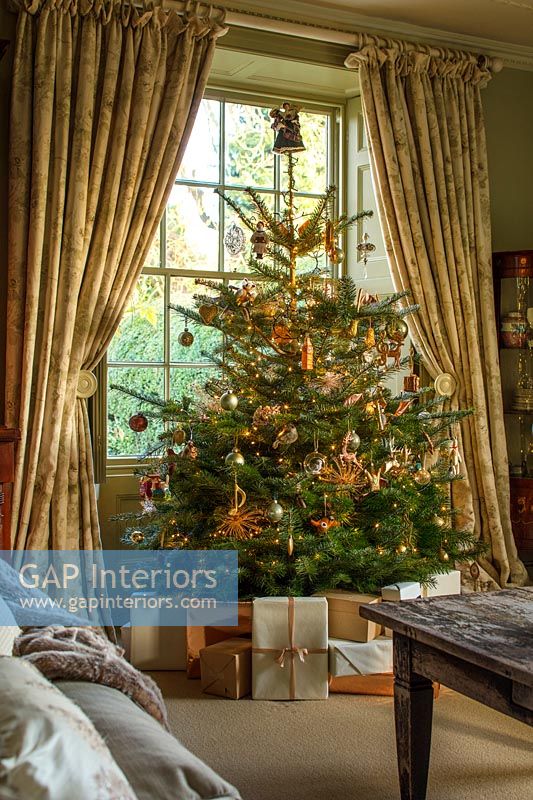 Arbre de Noël encadré dans une fenêtre avec des rideaux d'or dans le salon classique