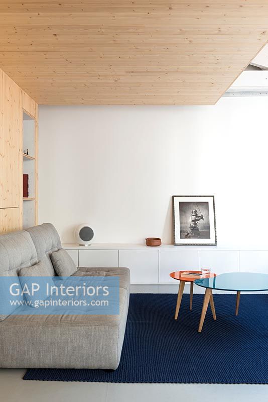 Salon moderne avec mur et plafond en bois