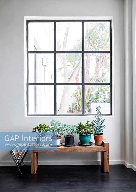 Fenêtre moderne avec des plantes en pot