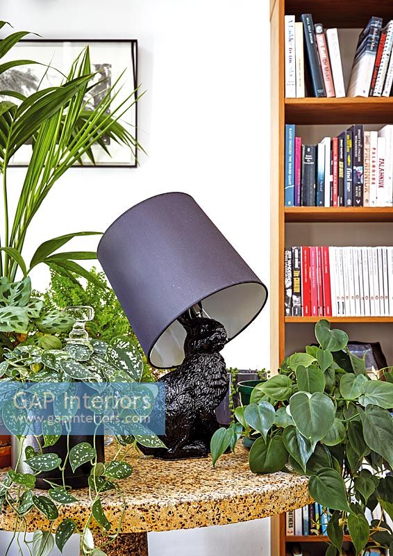Lampe moderne avec des plantes d'intérieur