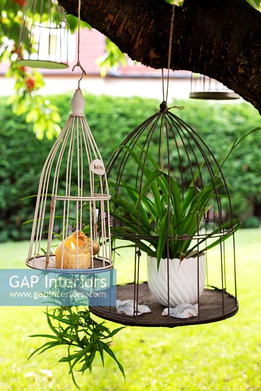 Cages à oiseaux dans le jardin