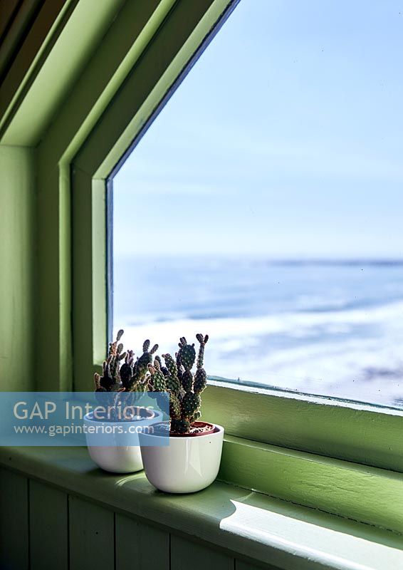 Cactus dans de minuscules pots sur le rebord de la fenêtre avec vue sur la mer