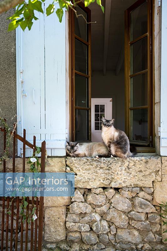 Les chats de compagnie se détendre sur le rebord de la fenêtre en pierre à l'extérieur de la maison de campagne, l'été.