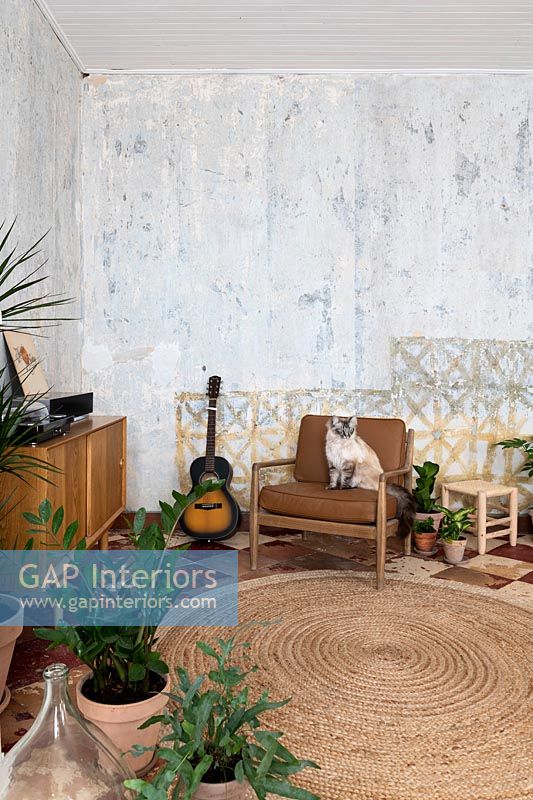Chat sur fauteuil dans un salon de campagne avec des murs en plâtre nu