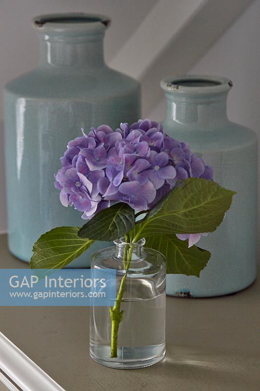 Fleur d'hortensia dans un vase à côté de bouteilles en céramique bleues