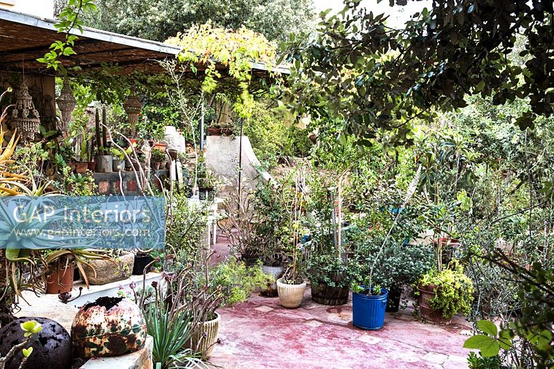 Terrasse de campagne avec plantes succulentes en pot