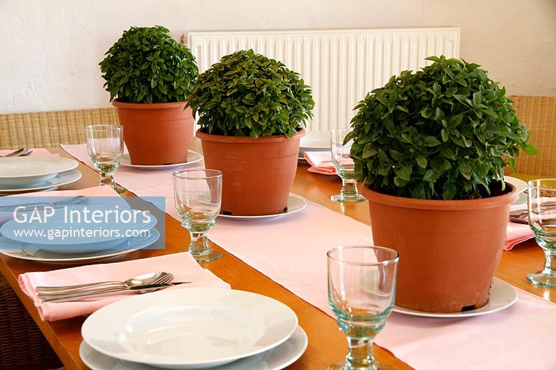 Salle à manger de campagne avec des plantes à feuillage en pot sur chemin de table