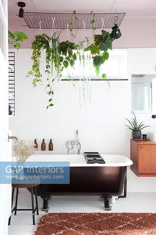 Plantes d'intérieur en suspension au-dessus d'une baignoire sur pied dans une salle de bains moderne