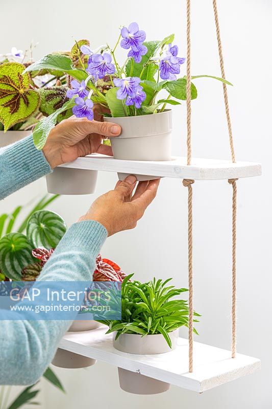 Femme ajoutant une plante d'intérieur en pot à une étagère à plusieurs niveaux