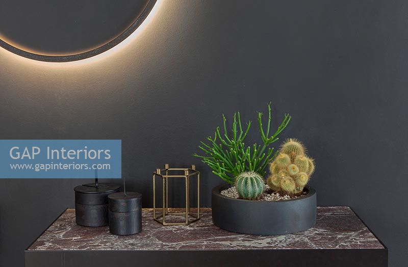 Cactus en pot noir sur table d'appoint à côté de halo light sur mur noir