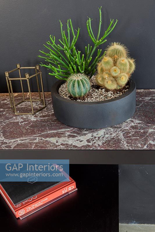Cactus en pot noir sur table d'appoint en marbre