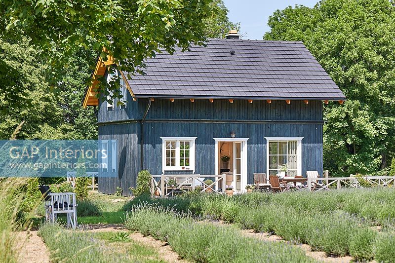 Extérieur de maison en bois peint en bleu avec des rangées de lavande poussant à l'extérieur