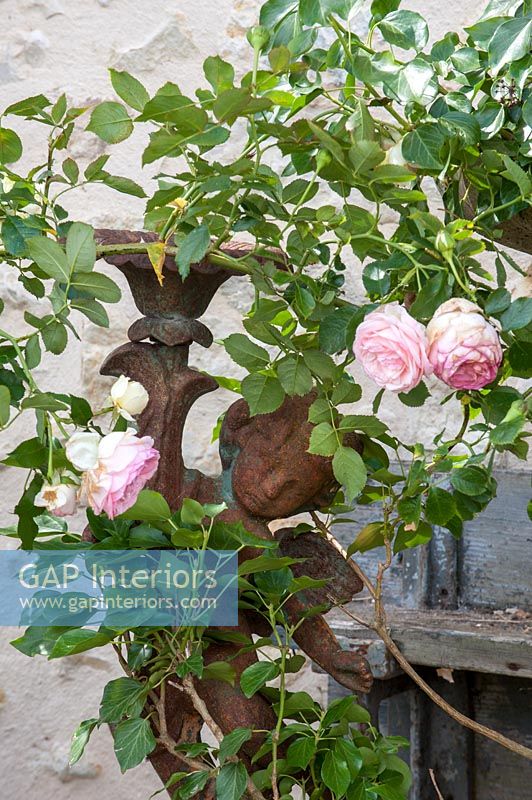 Rose à fleurs rose à côté de la sculpture en métal rouillé - détail