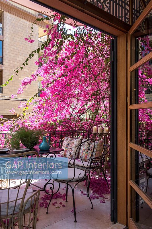 Vue à travers la porte du balcon couvert de fleurs roses