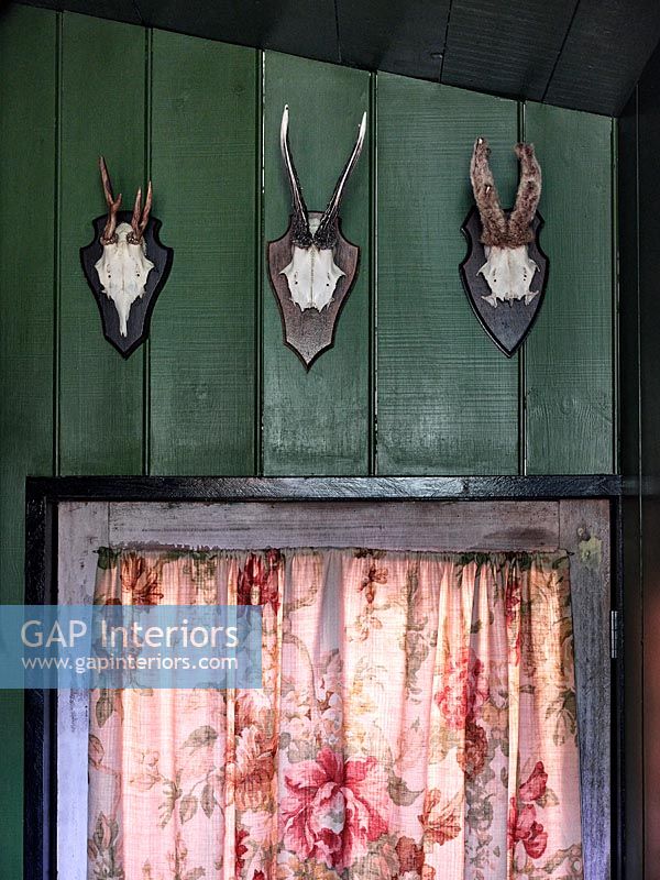 Rangée de crânes d'animaux et de cornes sur porte en bois avec rideau en tissu floral