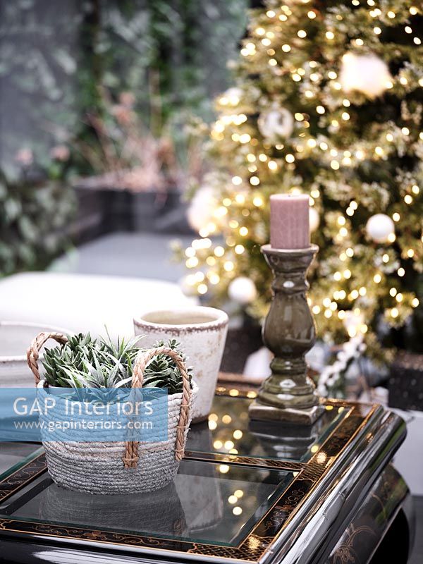 Plante d'intérieur dans le panier sur la table d'appoint avec arbre de Noël en arrière-plan