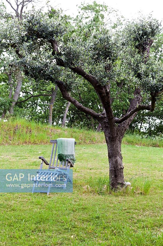 Fauteuil inclinable en bois sous l'arbre dans le jardin de campagne