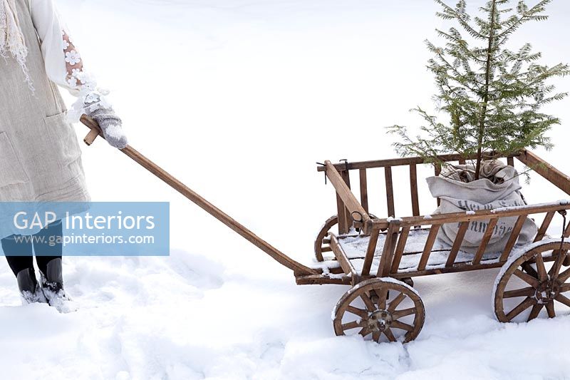 Chariot de jardin avec sapin de Noël