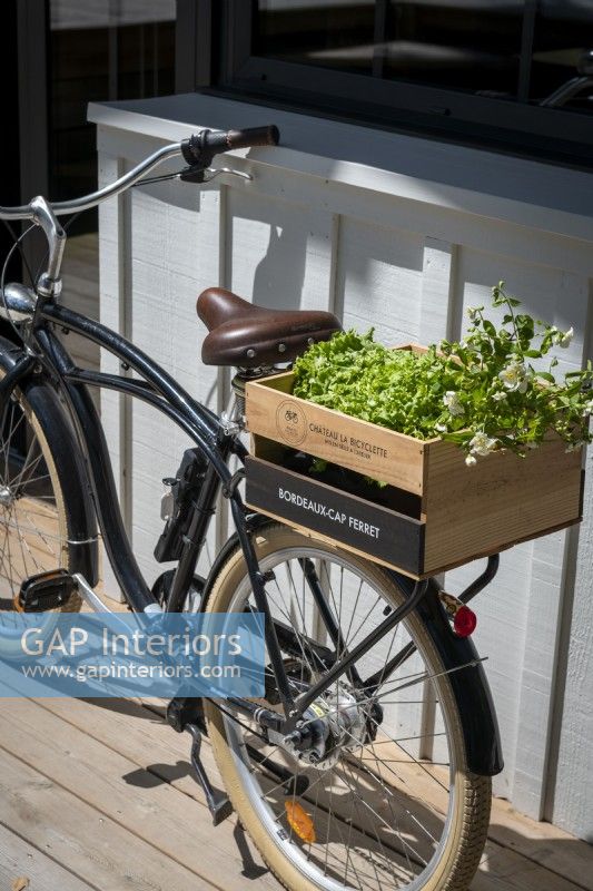 Fort de légumes à salade en boîte à l'arrière du vélo