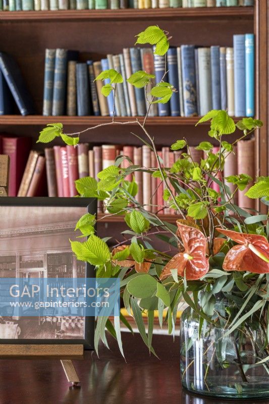 Vase de feuillage printanier et plante de maison Anthurium dans la bibliothèque de la maison de campagne