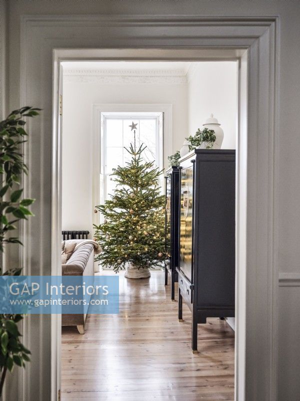 Vue de la porte aux armoires noires et à l'arbre de Noël dans le salon