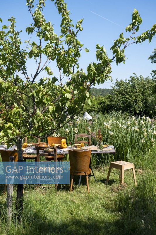 Table à manger rustique dans un jardin de campagne