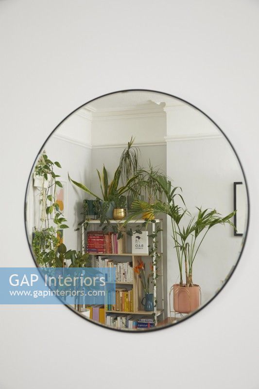 Coin salon reflété dans un miroir, montrant des étagères et des plantes à code couleur.