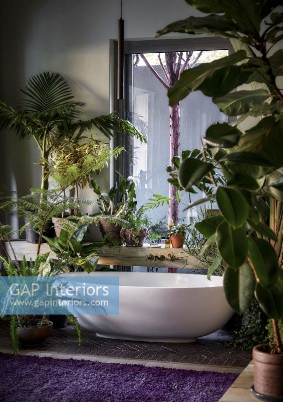 Baignoire autoportante dans la salle de bain pays remplie de plantes d'intérieur