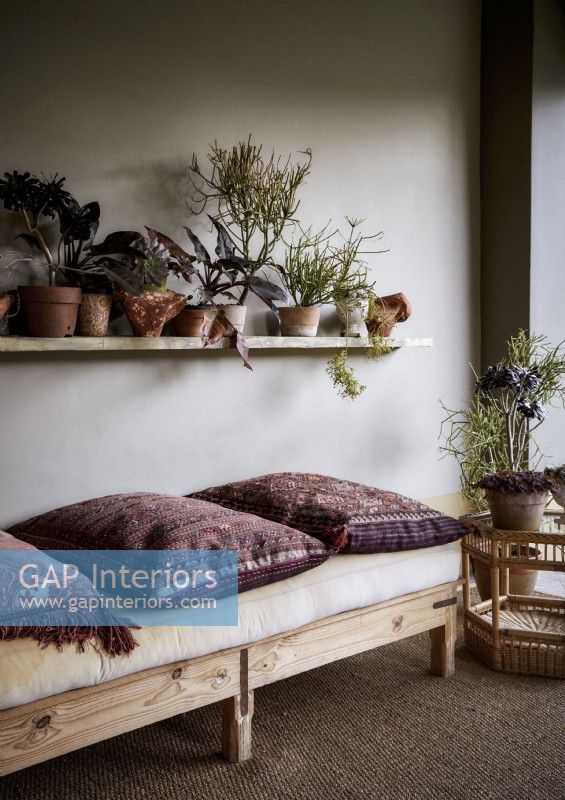 Coussins à motifs sur canapé bas avec étagère pleine de plantes d'intérieur