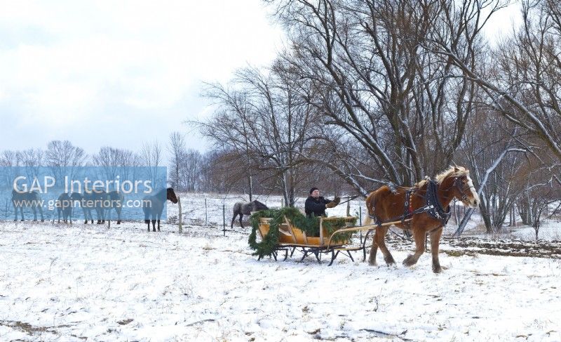 Aperçu du traîneau et des chevaux dans la neige le jour de Noël