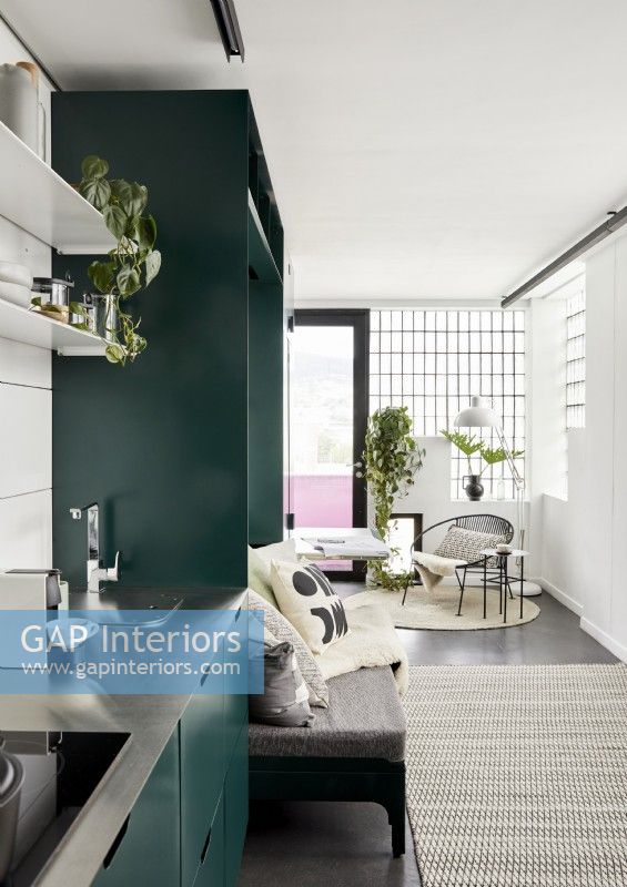 Mur peint en vert et unités de cuisine moderne