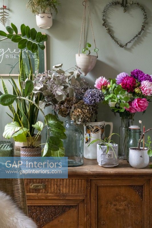 Plantes d'intérieur et compositions florales sur buffet vintage - détail