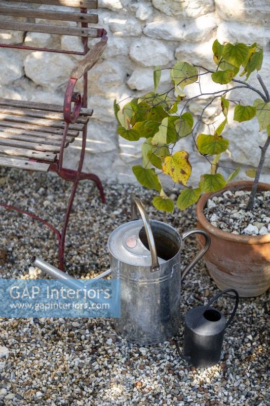 Détail des arrosoirs métalliques et des plantes en pot à côté du vieux banc
