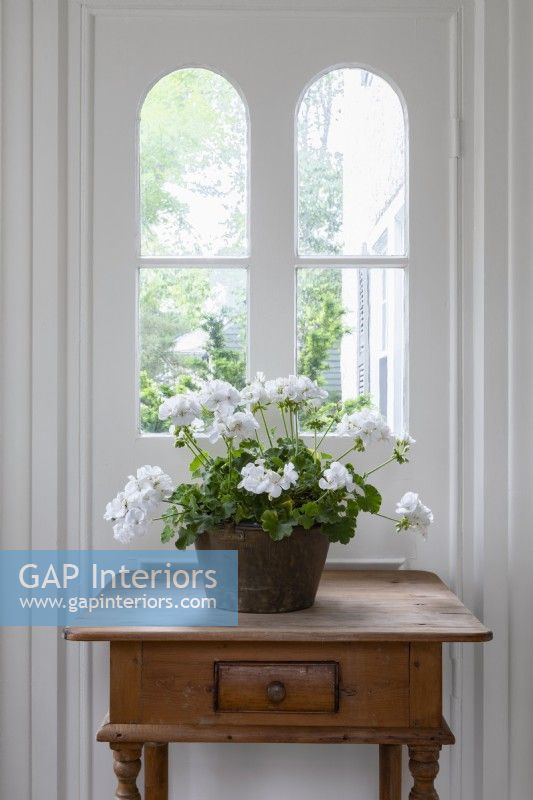 Plante d'intérieur à fleurs blanches par fenêtre sur une vieille table en bois 