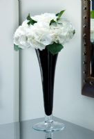Détail d'un vase en verre à tige noire avec une seule fleur d'hortensia blanc