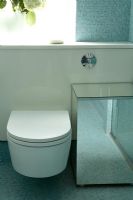 Détail des toilettes de la salle de bain moderne et du bac à linge