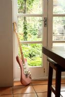 Détail des portes françaises dans la cuisine avec guitare reposant contre le mur
