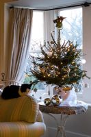 Salon avec arbre de Noël à côté de la fenêtre avant et chat dormant sur le canapé