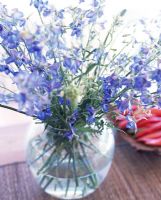 Vase de fleurs bleues