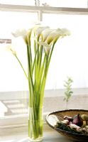 Grands lys blancs dans un vase en verre, détail