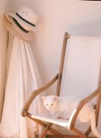 Chat portant sur une chaise de plage pliante
