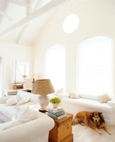 Intérieur du salon moderne avec mobilier et chien
