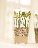 Plante verte poussant dans un vase de sable et de galets