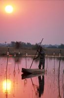 Homme sur un lac entouré de lanternes sur de longs poteaux
