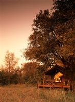 Petite cabane de safari