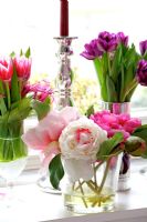 Divers arrangements floraux dans des vases