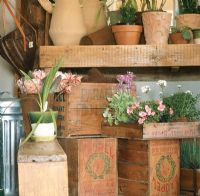 Vue de plantes en pot et vase à fleurs sur des boîtes en bois
